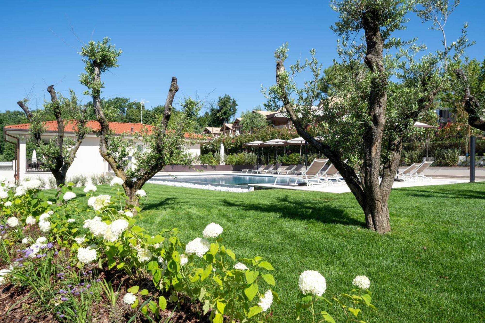 Villa Silvia Apartments San Felice del Benaco Eksteriør billede